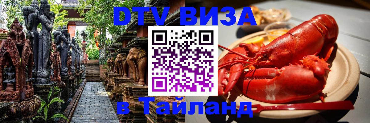 Оформление DTV визы под ключ: стоимость и тарифы, только загранпаспорт - Амман  20.11.2025 